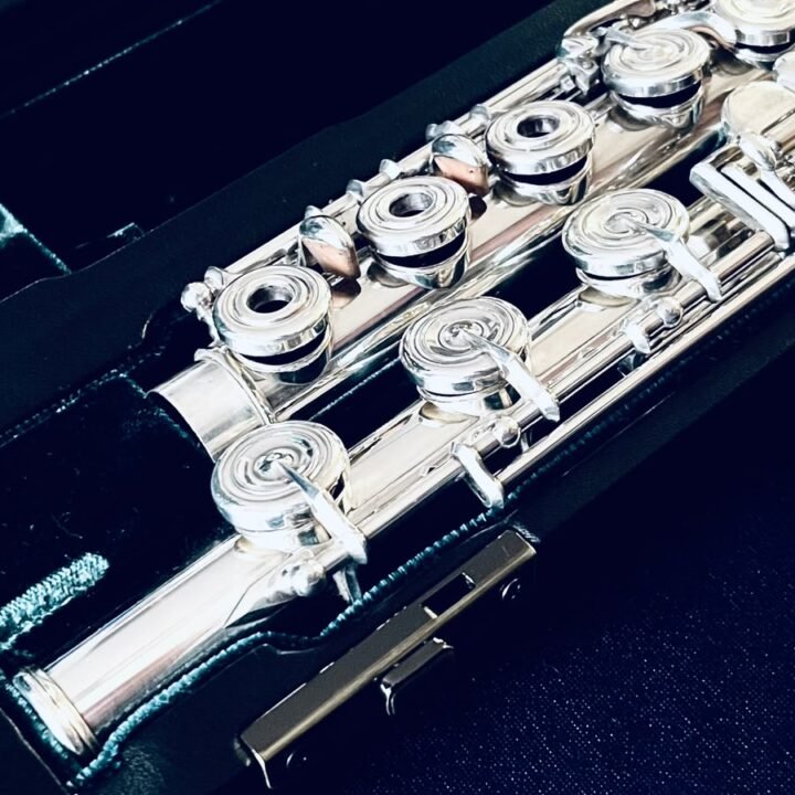 Altus 1707 PS